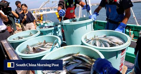 Japan announces emergency relief measures for seafood exporters hit by China’s ban